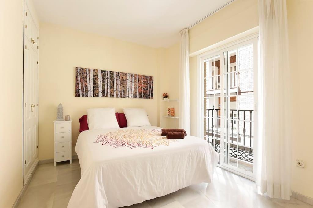 Agradable Piso En El Centro Historico Appartement *
